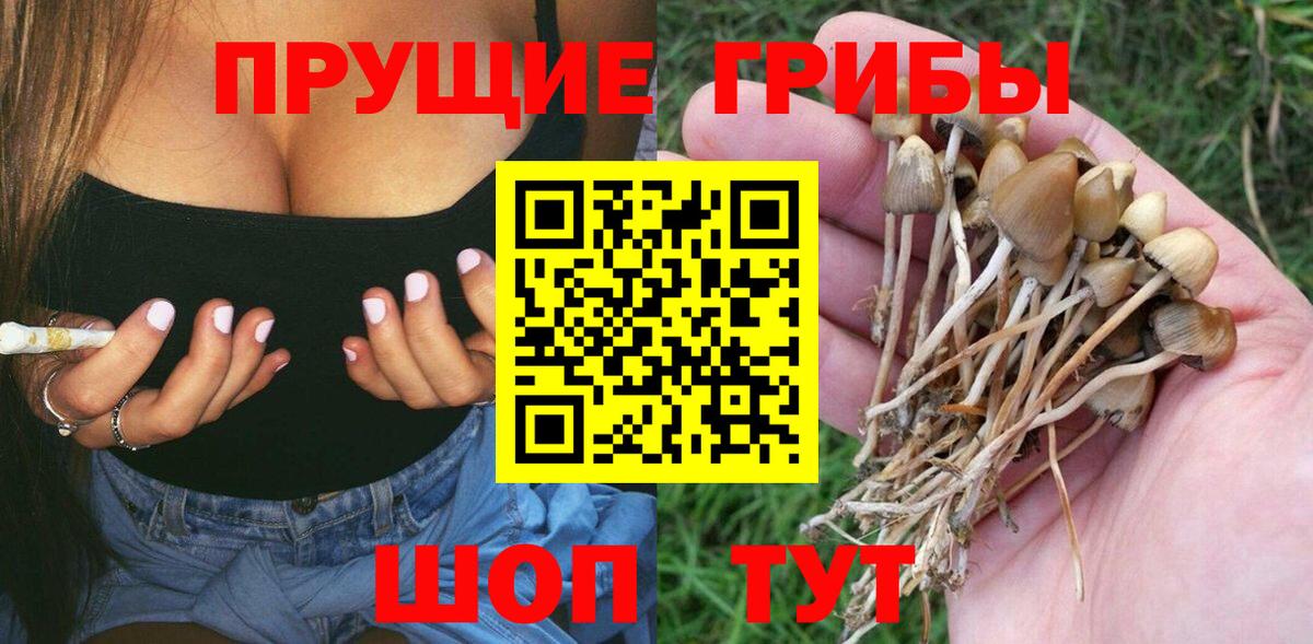 Советская Гавань  Галлюциногенные грибы прущие грибы  Галлюциногенные грибы мицелий  Вход с VPN 
